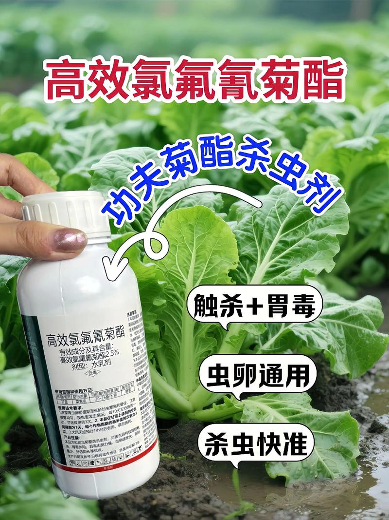 内蒙古代生中心:农药对供卵代生妈妈的危害